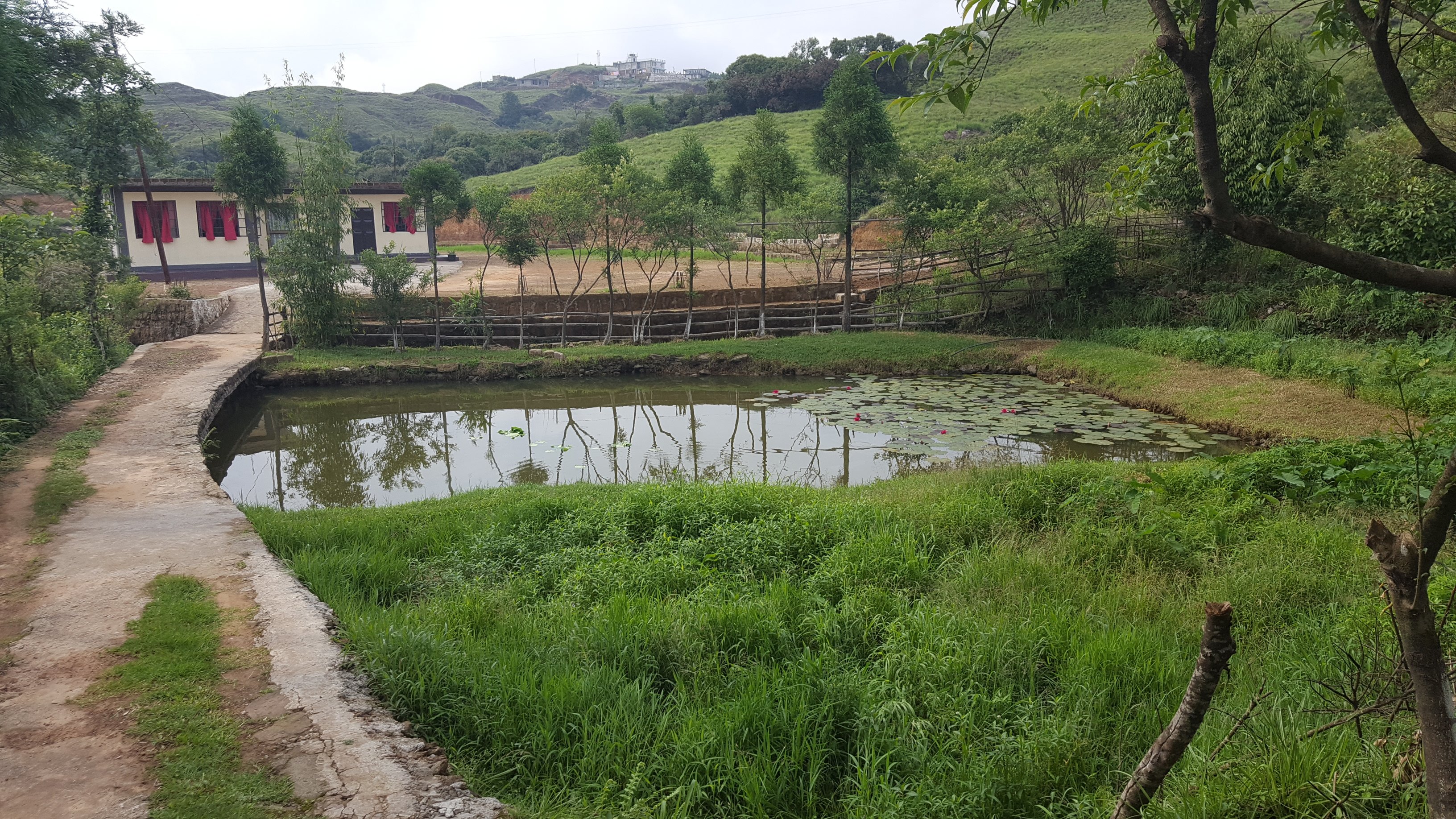 Hiraba Homestay-官方