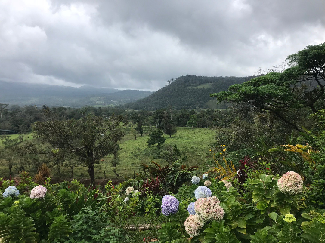 Heliconias Rainforest Lodge主图