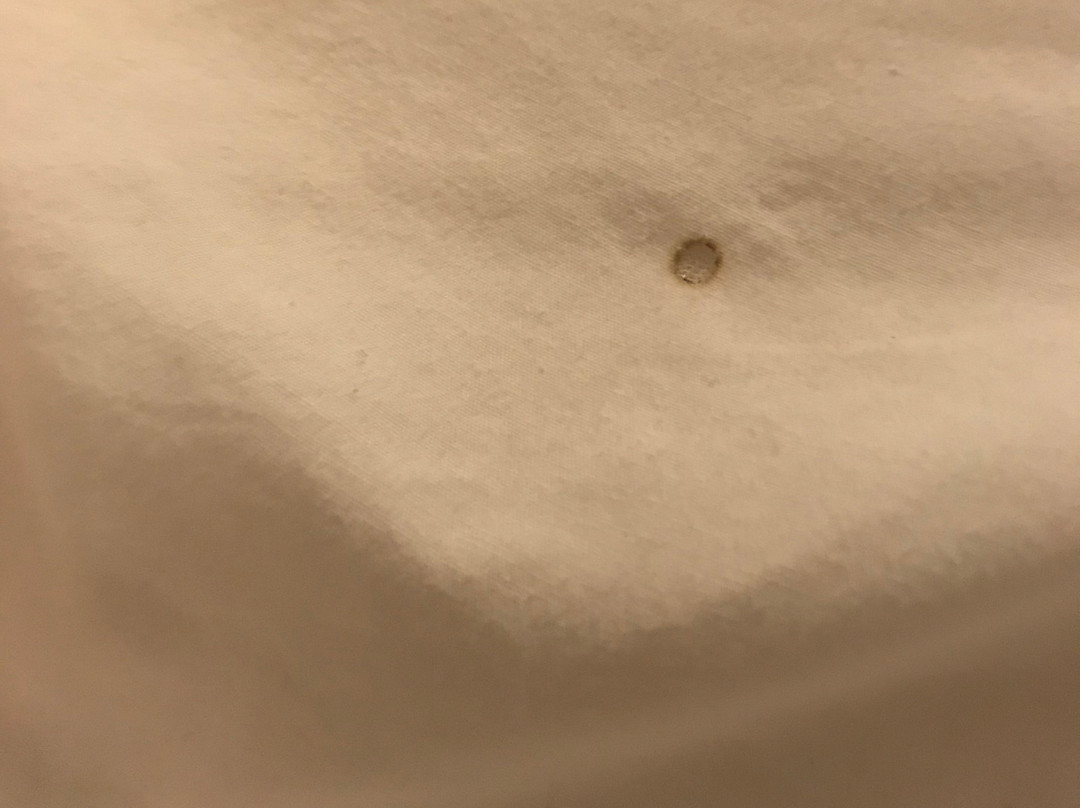 Econo Lodge Buckley主图