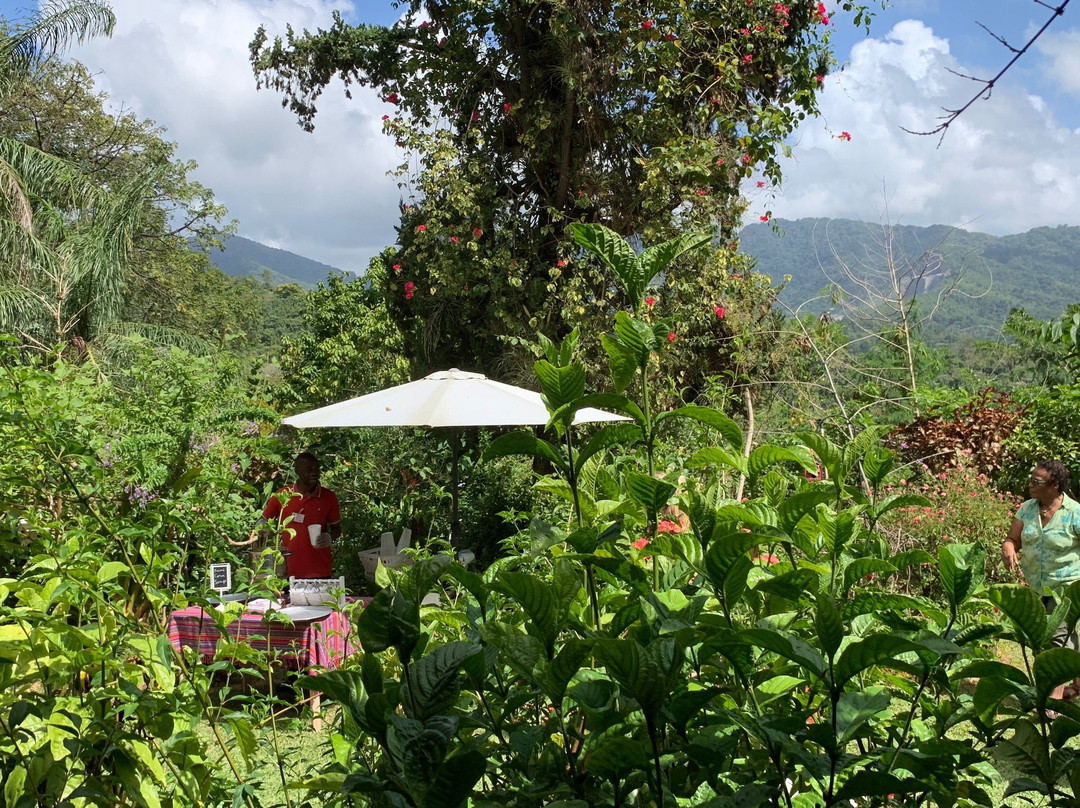 Yerette-Maracas Bay必去景点