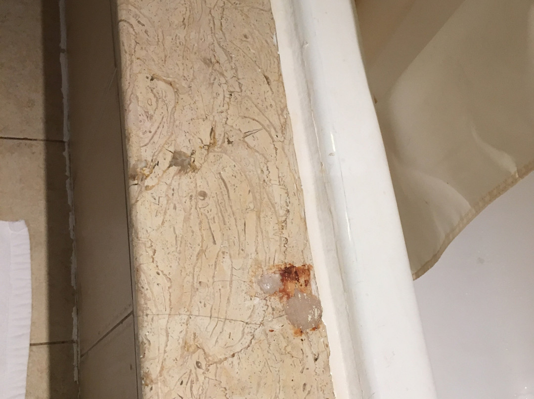 Tolip Aswan Hotel主图