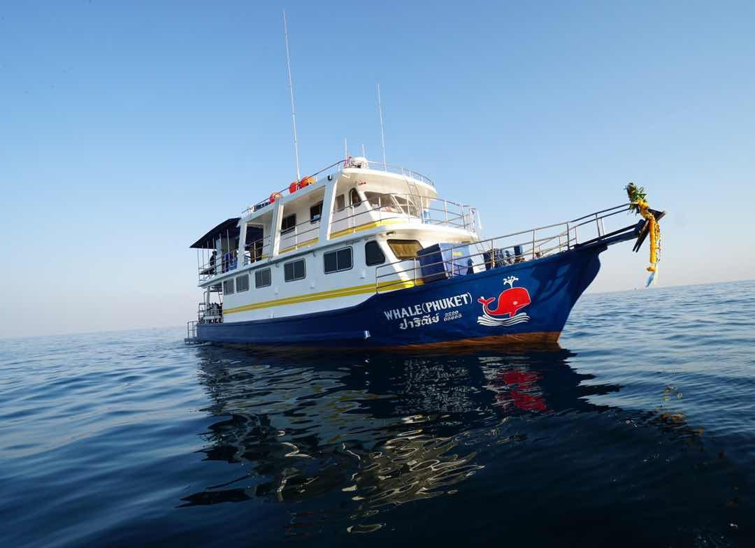 Whale liveaboard-奥南必去景点