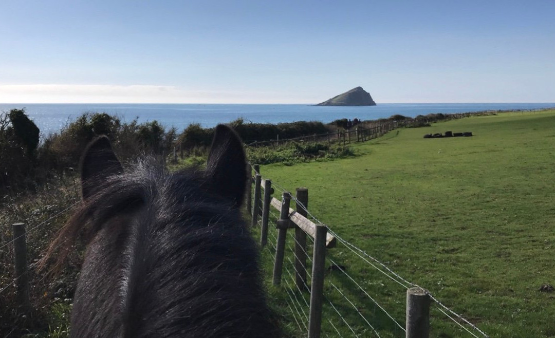 Wembury Bay Riding School