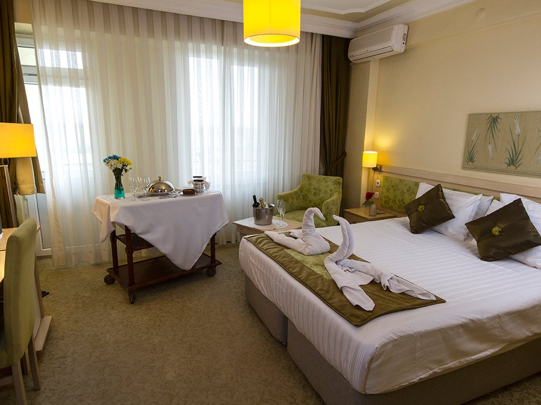 Hotel Simsek主图