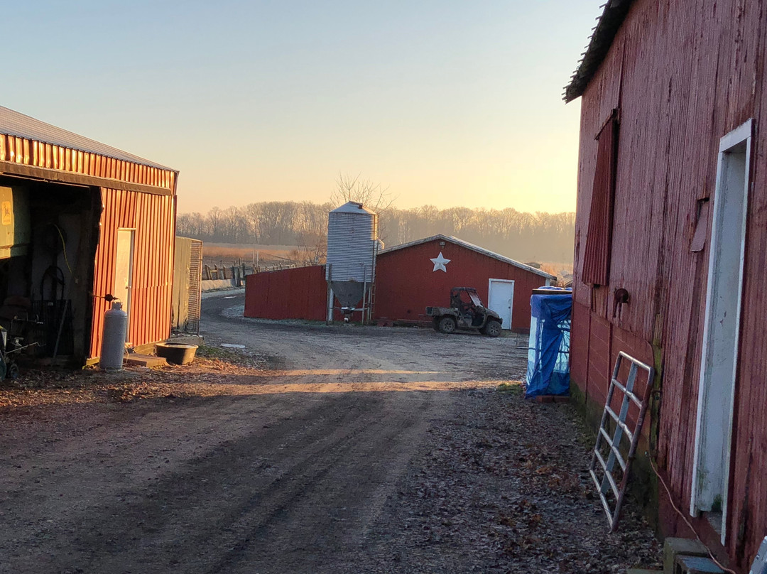 Buckeye Pheasant Hunting Preserve-New Lebanon必去景点