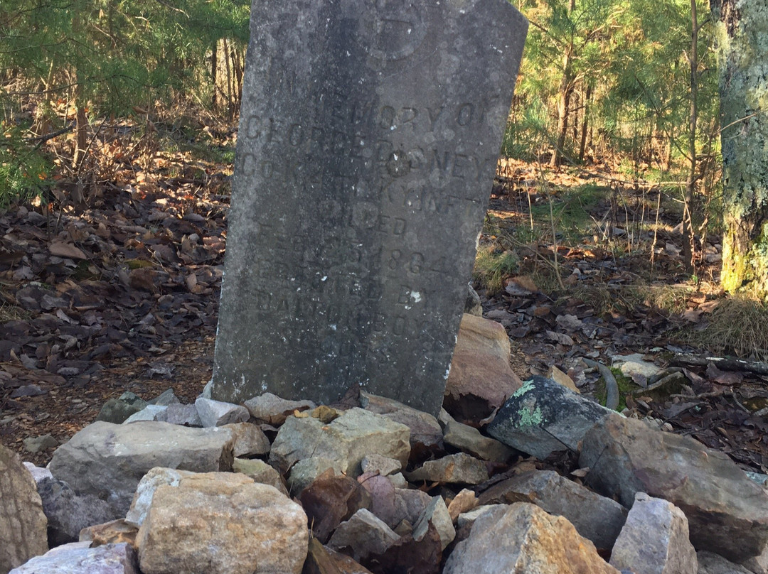 George Disney Trail-多尔顿必去景点