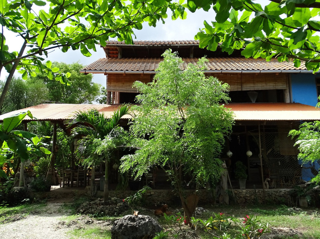 Oro Beach Houses主图