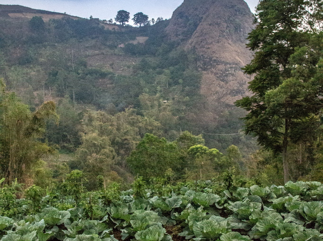 Terasering Panyaweuyan-Majalengka必去景点