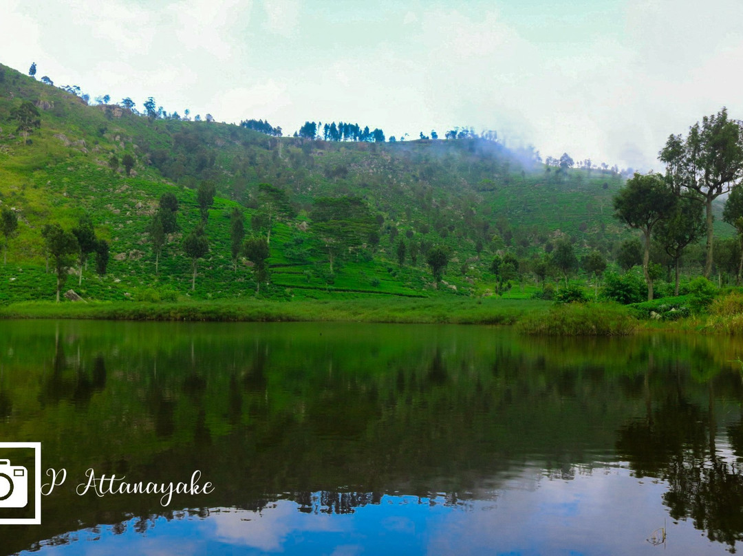 哈普特莱旅游景点-Lake Richmond
