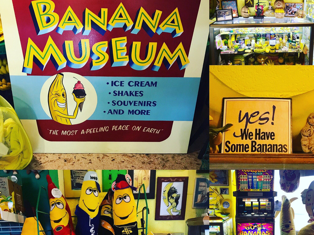 International Banana Museum-Mecca必去景点