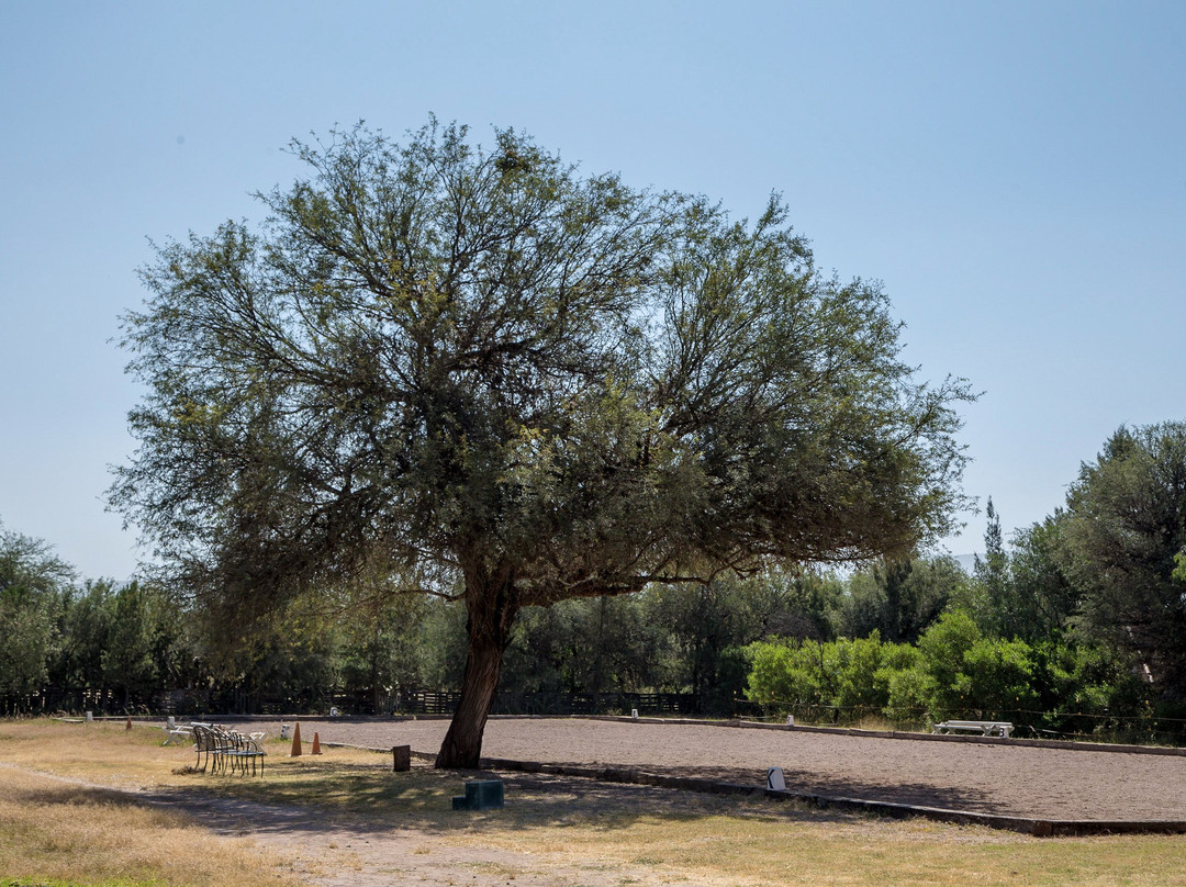 Granja Las Animas景点图片