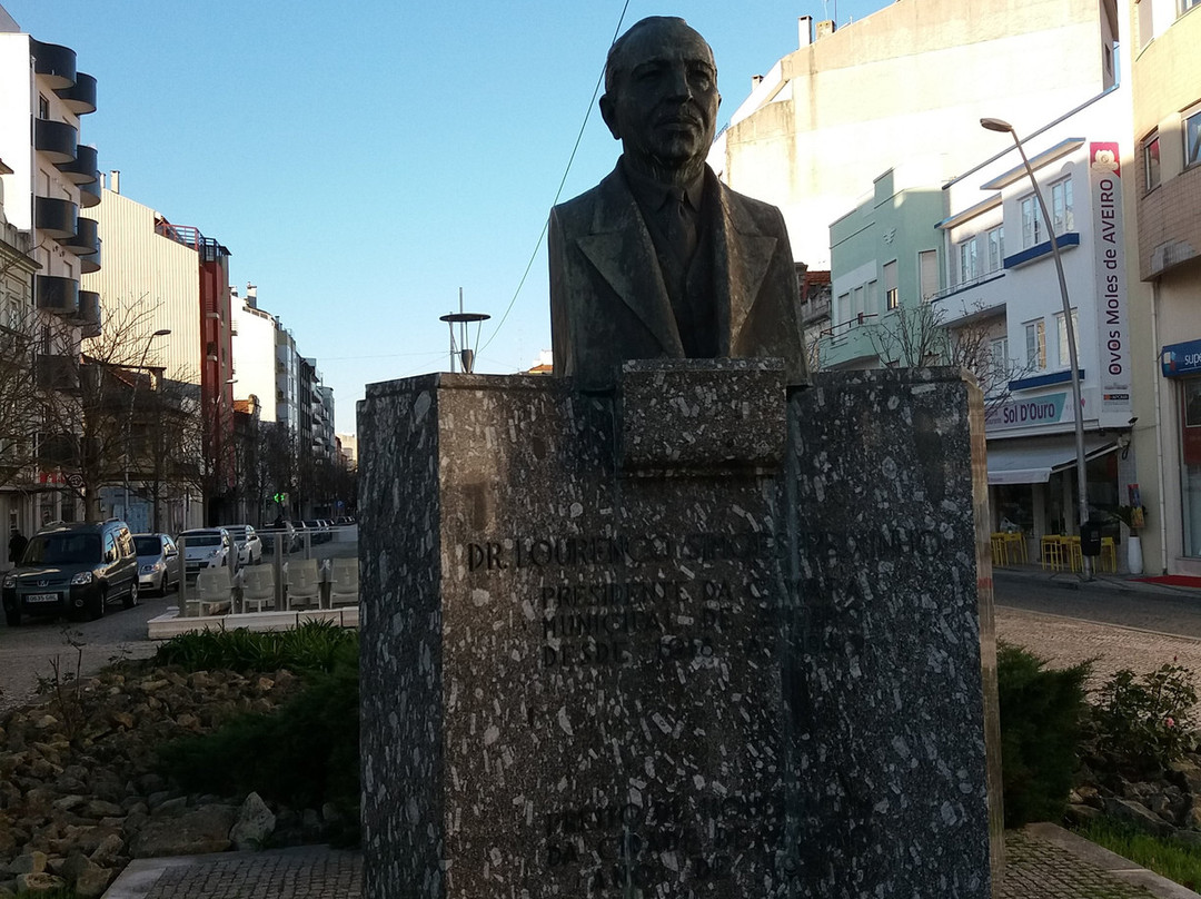 Monumento Busto a Dr Lourenco Simoes Peixinho景点图片