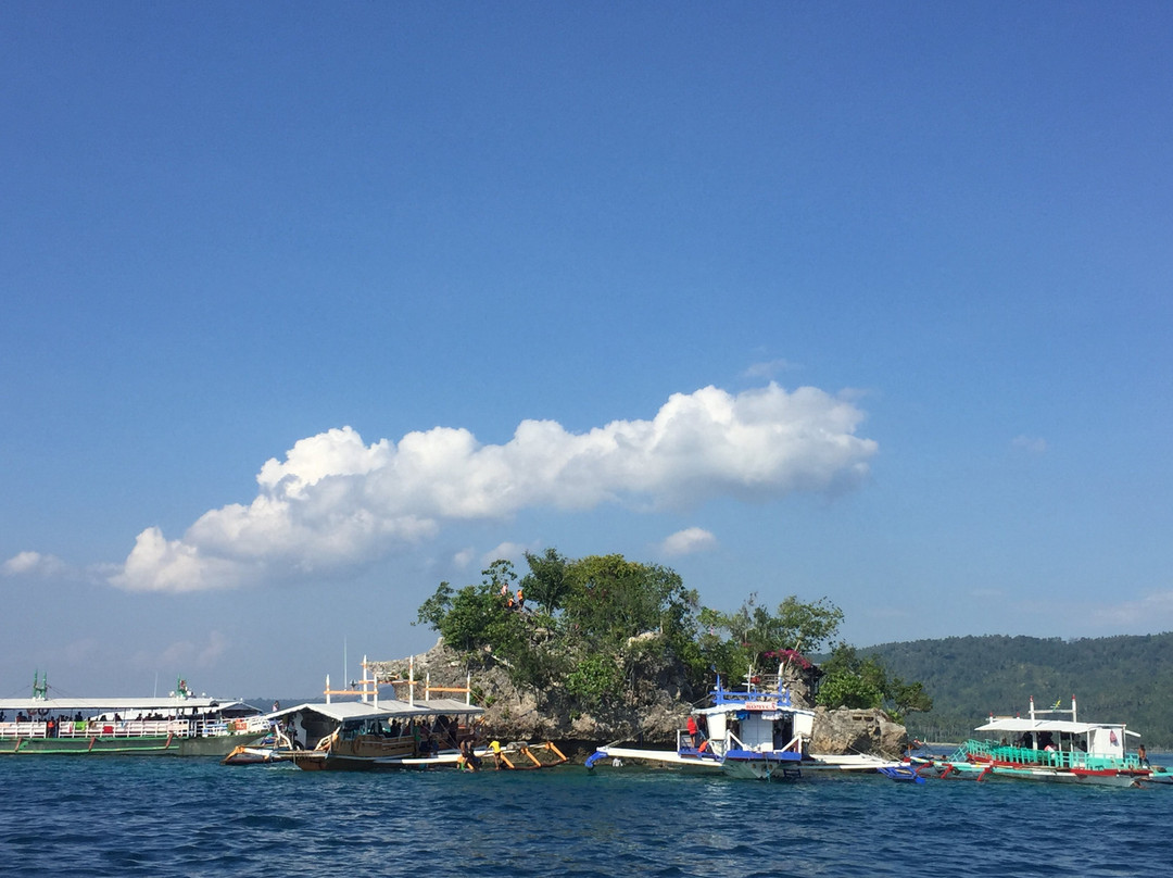 Samal Island Huts主图
