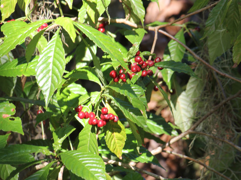 Ten Mile Creek Preserve-匹尔斯堡必去景点