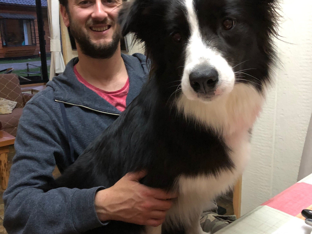 Cabanas Peumayen en Huilo Huilo主图