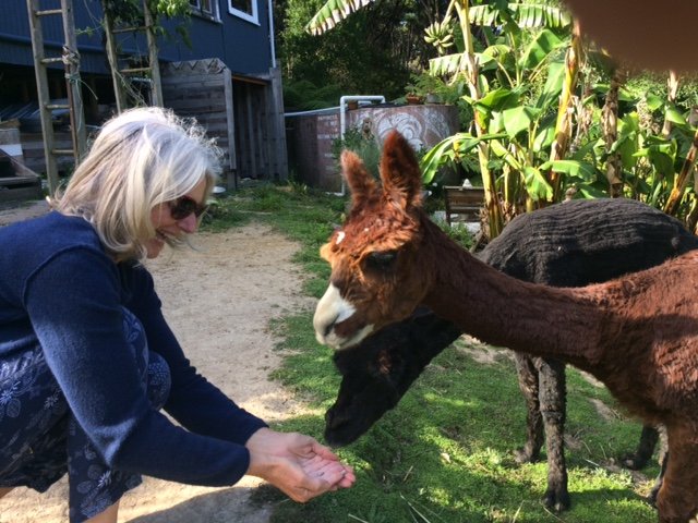 Waiheke Island Guesthouse-浴室