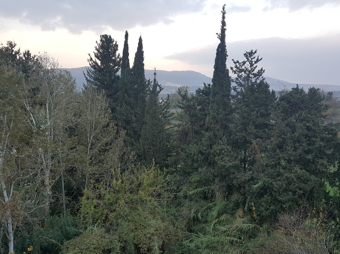 Hagoshrim Hotel & Nature主图