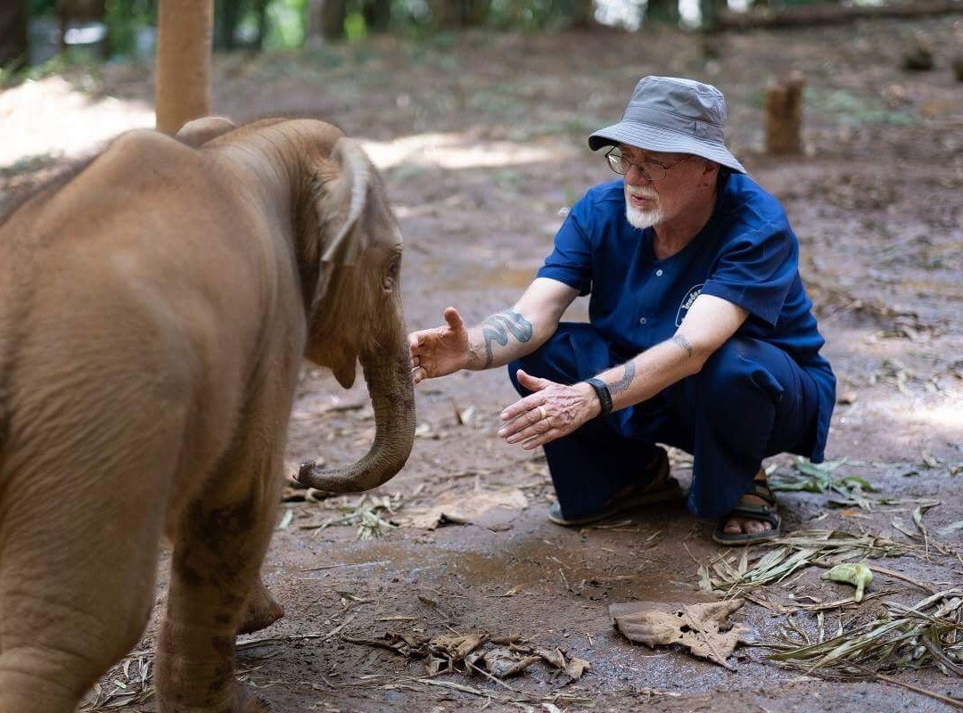 泰国大象之家景点图片