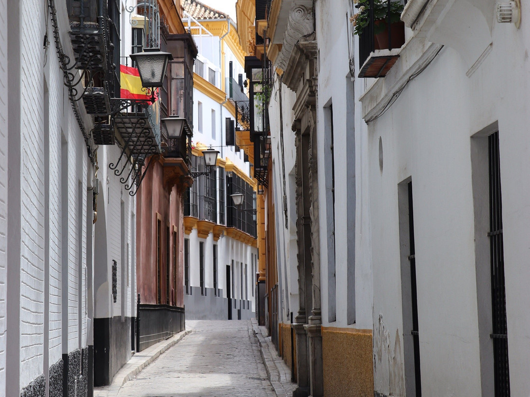 Seville Center-苏塞必去景点