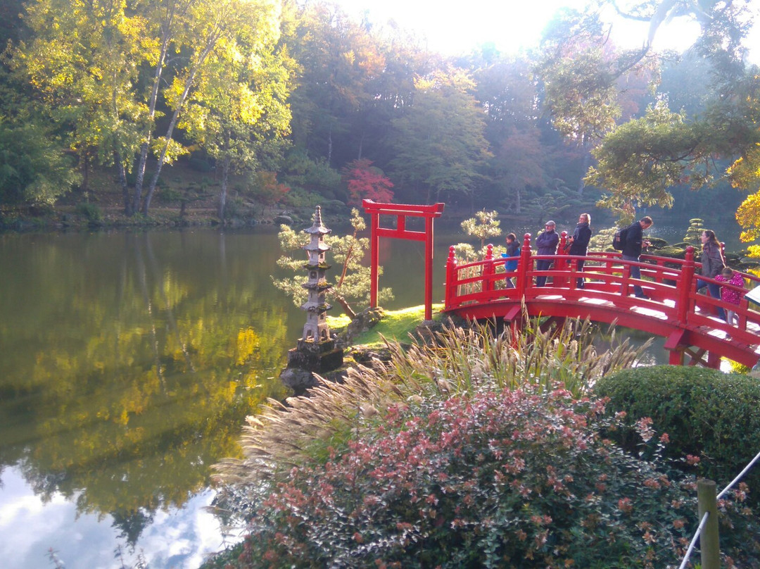 Parc Oriental de Maulevrier景点图片