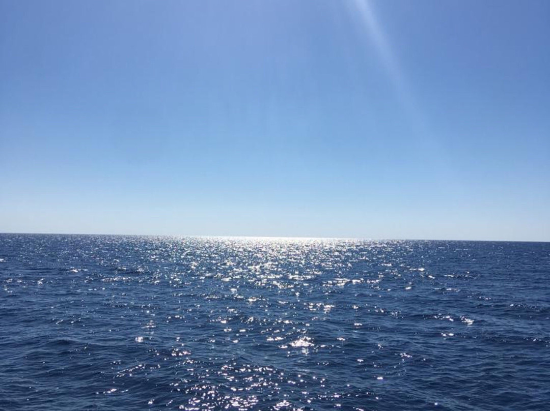 Kembali Diving-皮索里必去景点