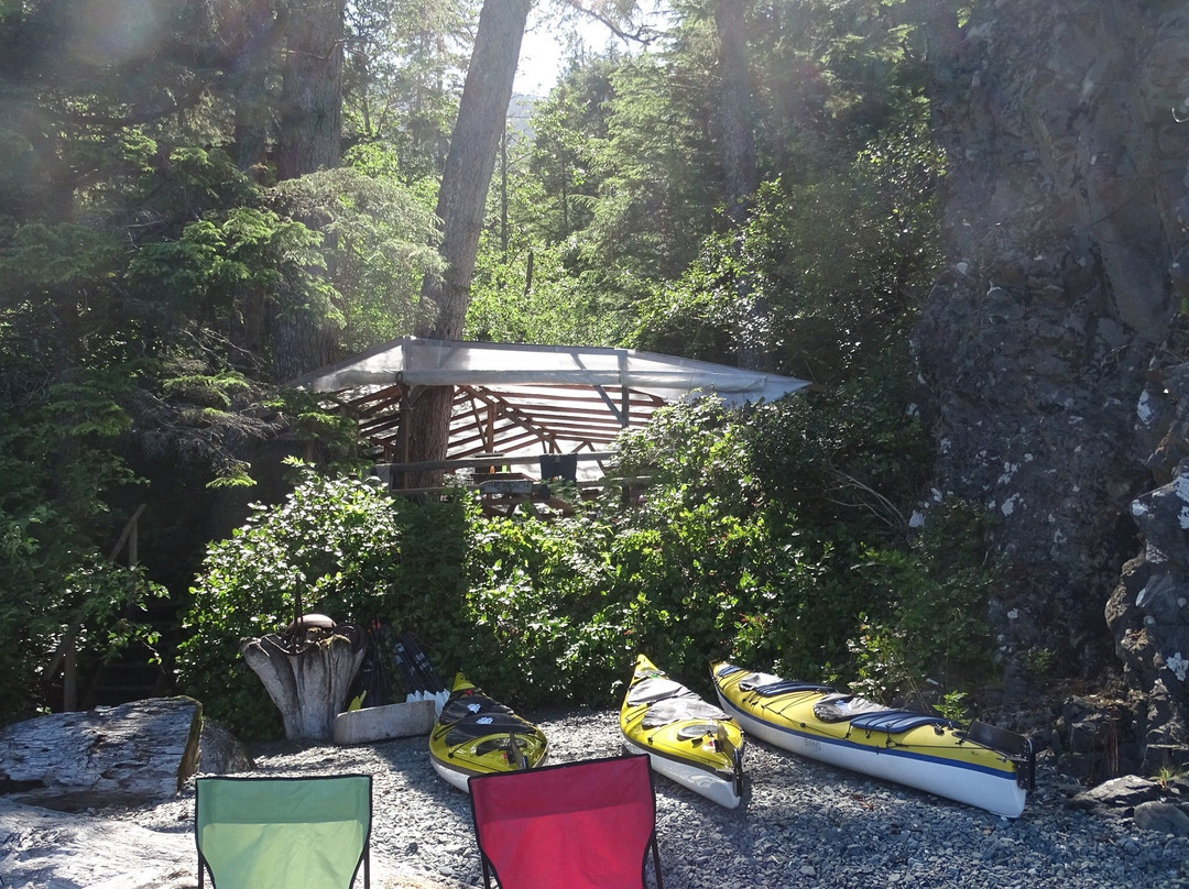 Ecosummer Expeditions-Telegraph Cove必去景点