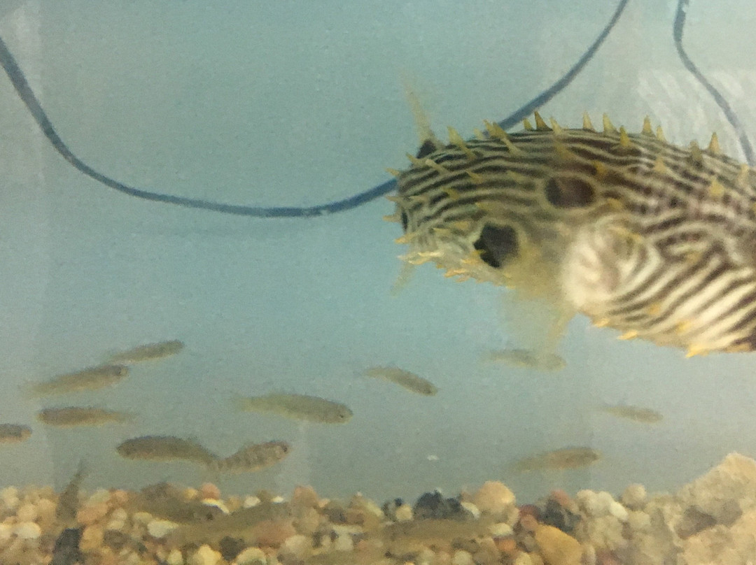Marine Nature Study Area-Oceanside必去景点