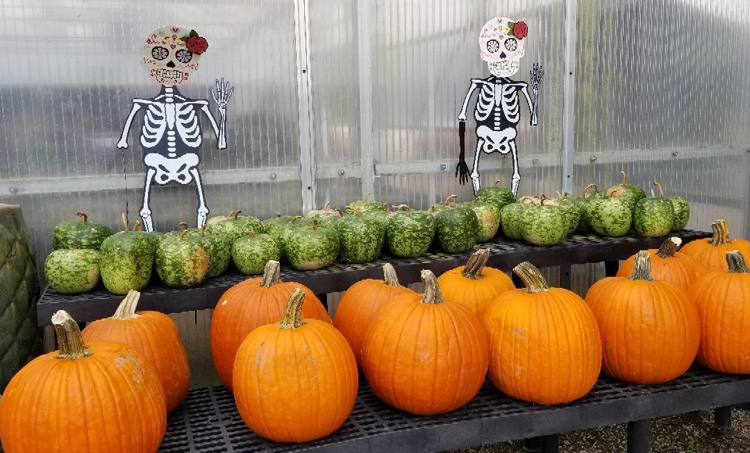 Apple Barn-查塔姆必去景点