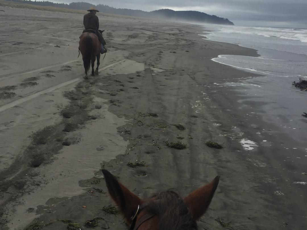 Back Country Horse Rides景点图片