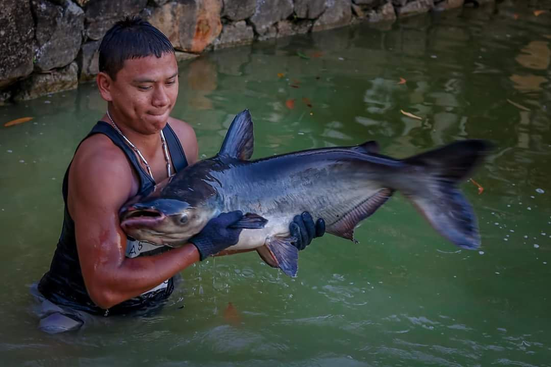 Phuket Monster Fishing Park景点图片