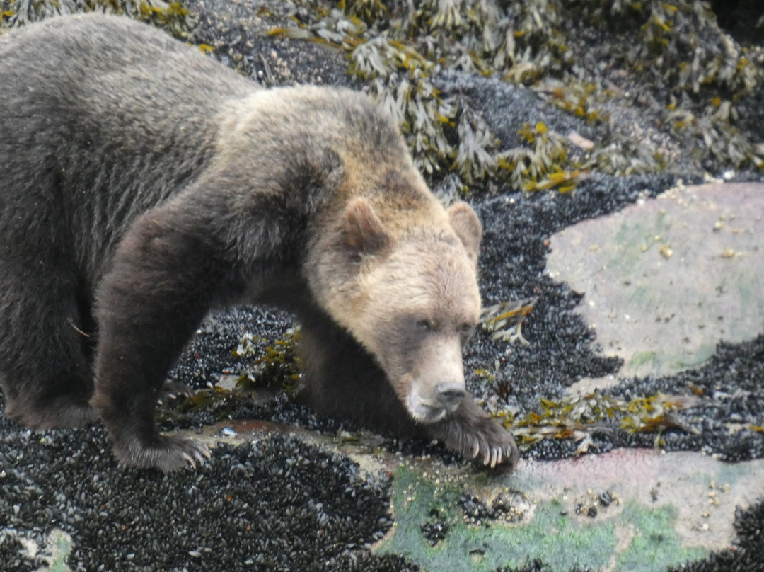 The Artists Point Bed, Breakfast and Phototours主图