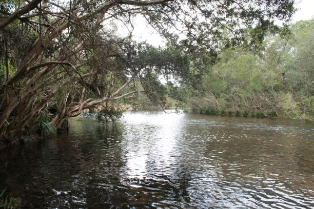 Broadwater National Park-Ingham必去景点