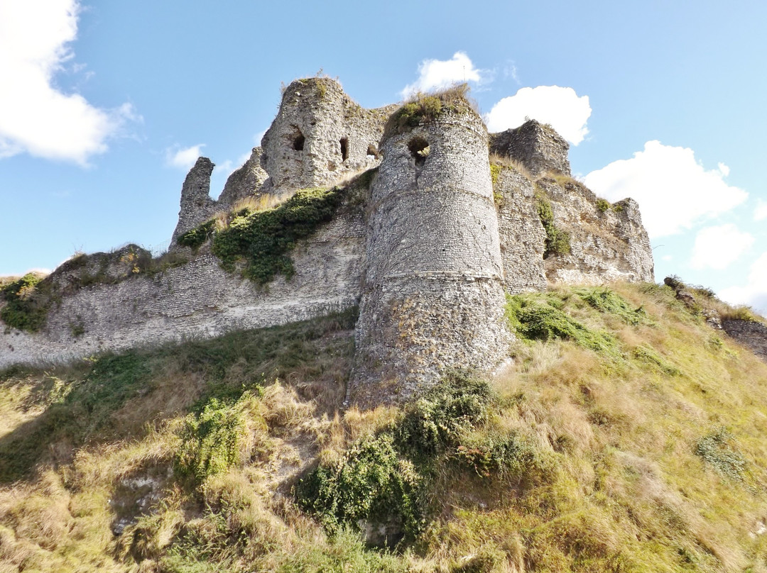 Château d'Arques-la-Bataille景点图片