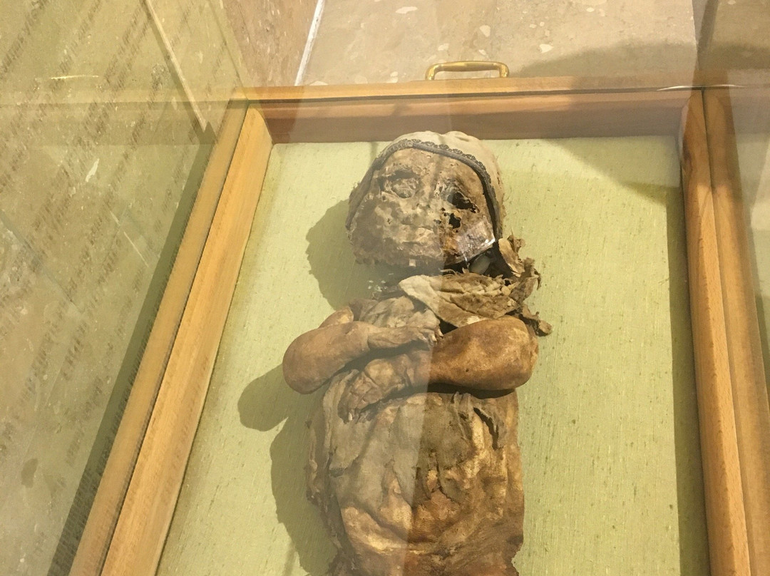 Nigde Museum景点图片