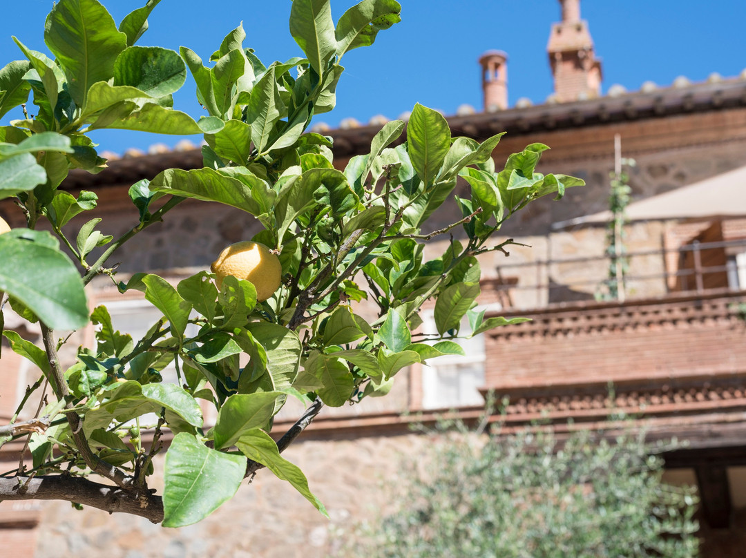 Fattoria Pian DI Rocca主图