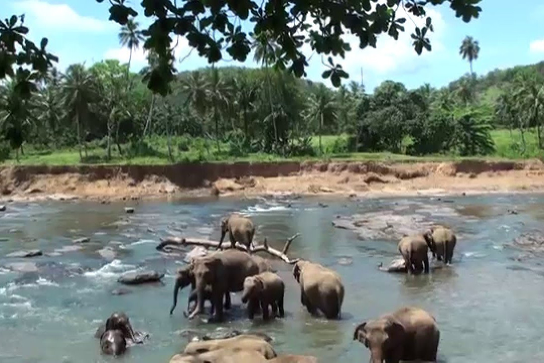 Sigiri Tours-锡吉里亚必去景点