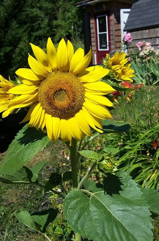 The Mission House B&B主图