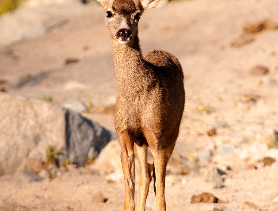 Rancho La Venta-San Bartolo必去景点