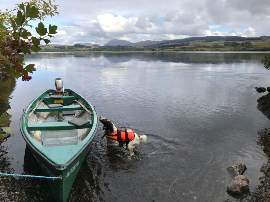 Loch Awe Boats景点图片
