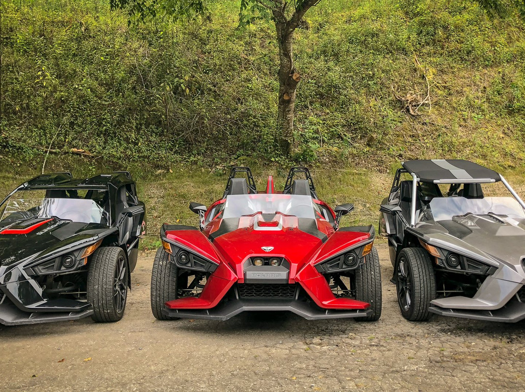 Wolf Creek Motorsport Rentals-罗宾斯维尔必去景点