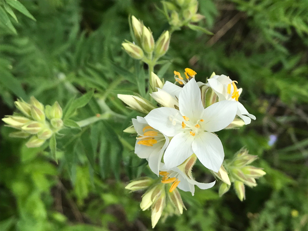 Free Spirit Holistic Mountain Spa & Yoga-Eden必去景点