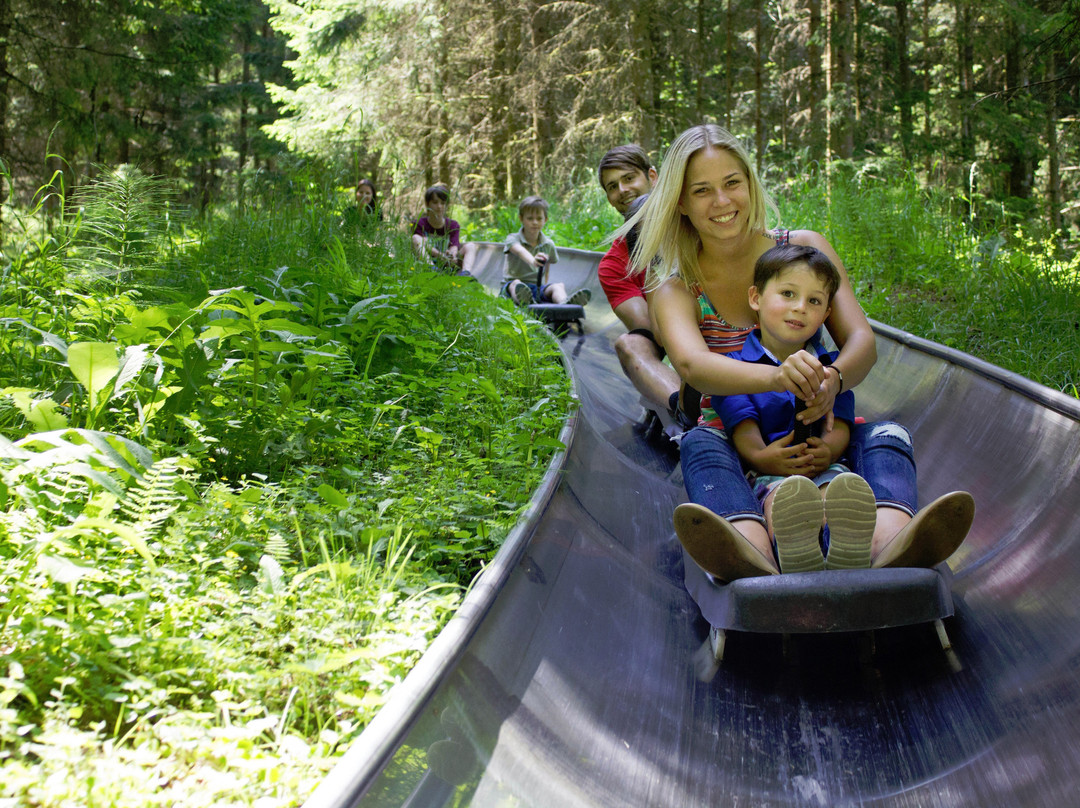 Sommerrodelbahn Strobl-Strobl必去景点