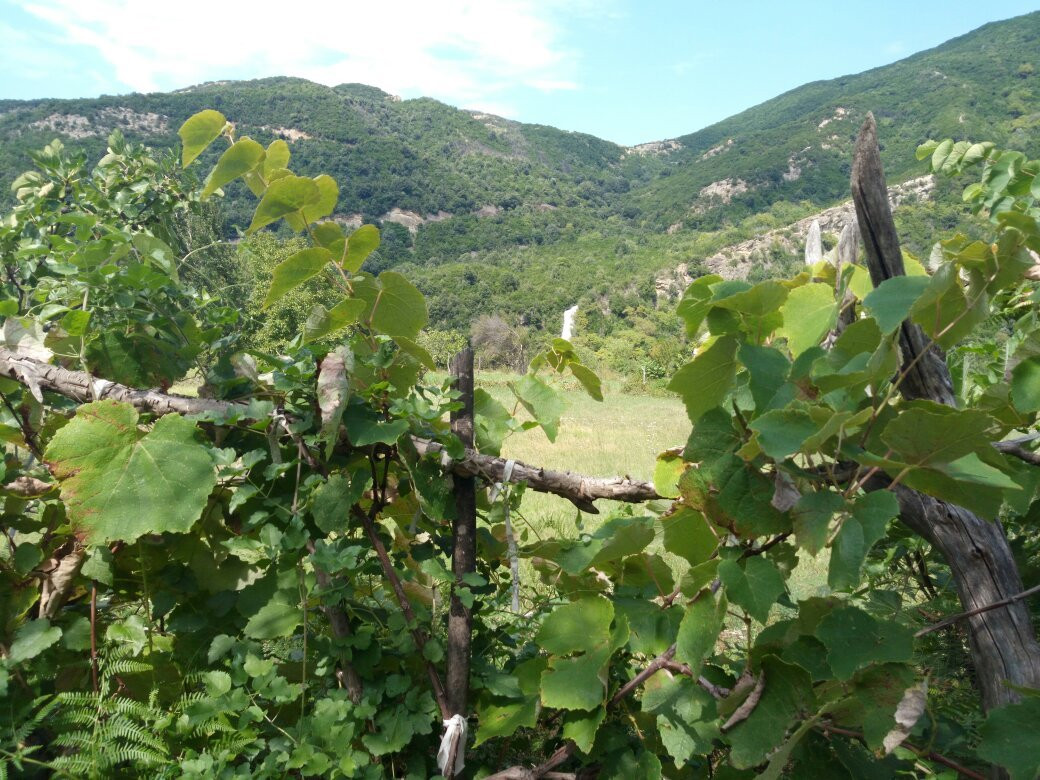 Canyons of Erzen River景点图片
