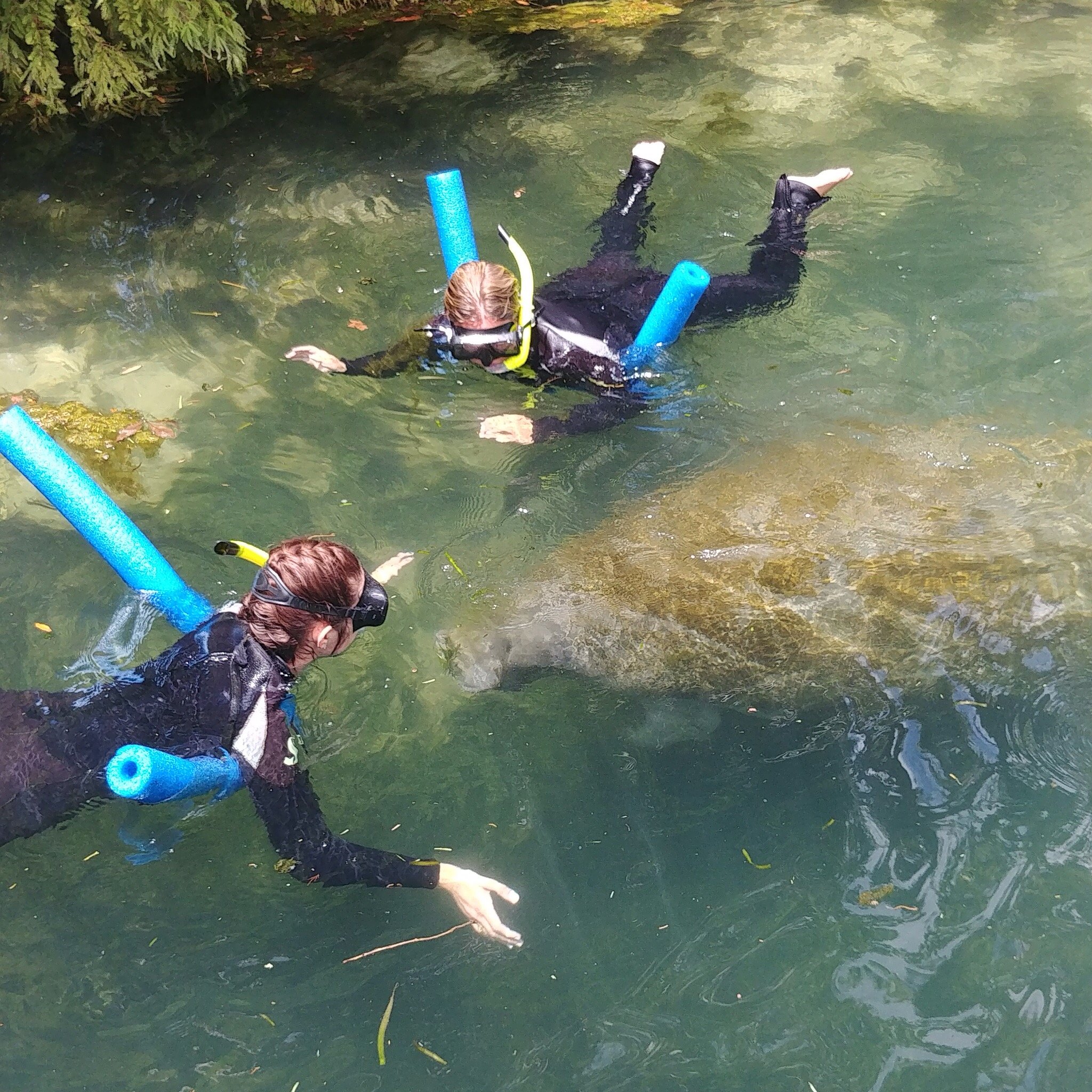 Birch Meadows Lodge B&B-浴室