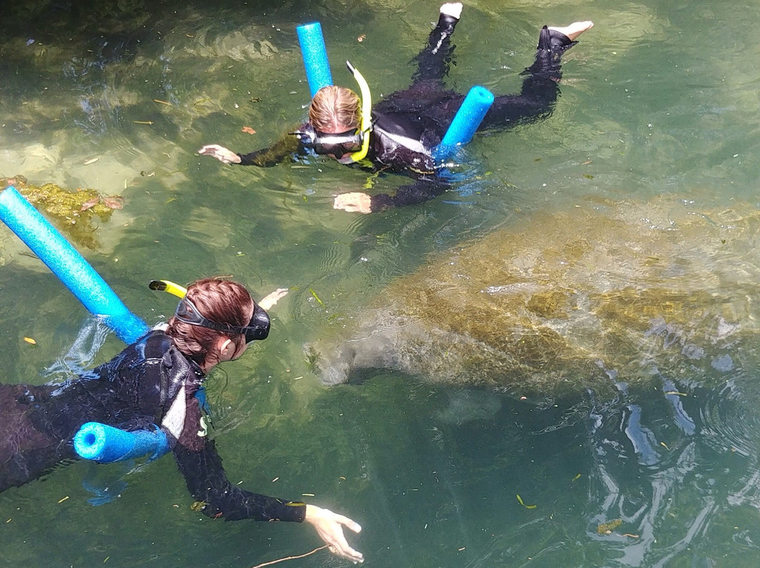 Birch Meadows Lodge B&B主图