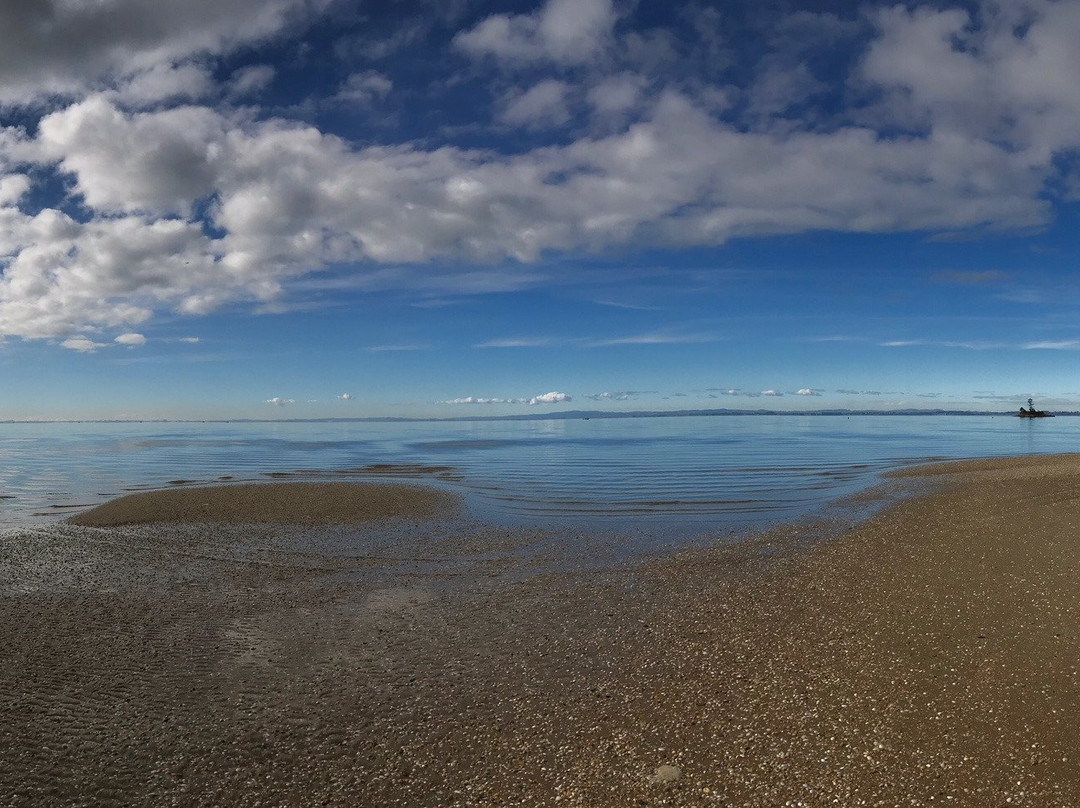 Awhitu Regional Park景点图片