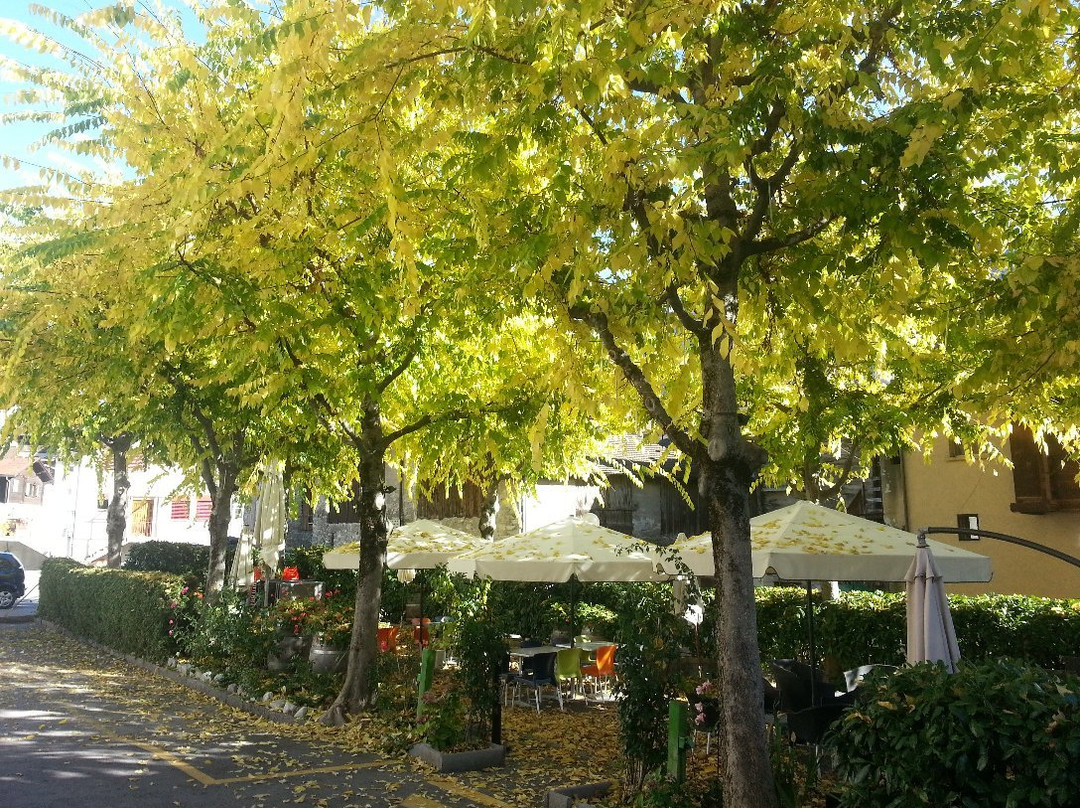 Cafe-Restaurant-Pizzeria Tservetta
