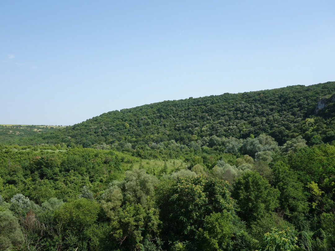 Rusenski Lom Nature Park景点图片