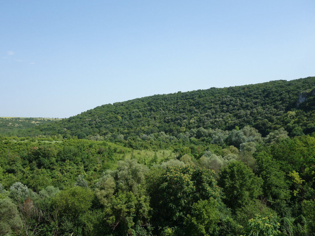 Rusenski Lom Nature Park-鲁塞必去景点