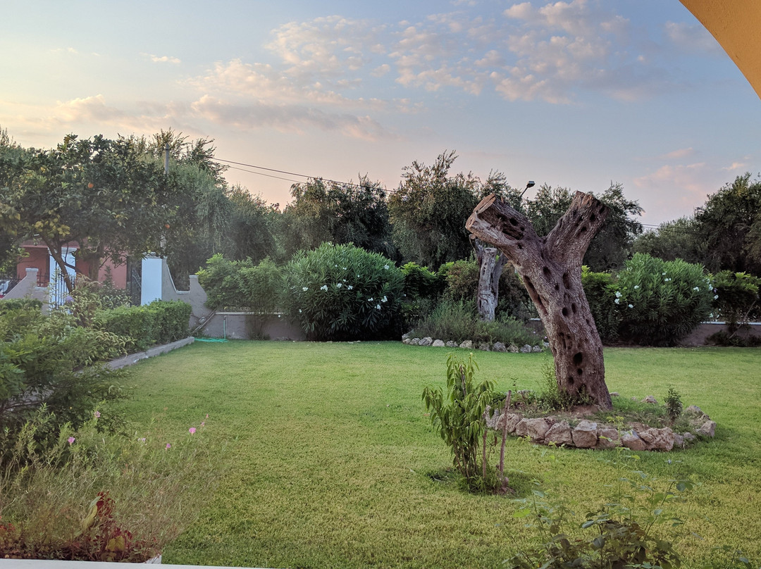 Theodoros Resort主图